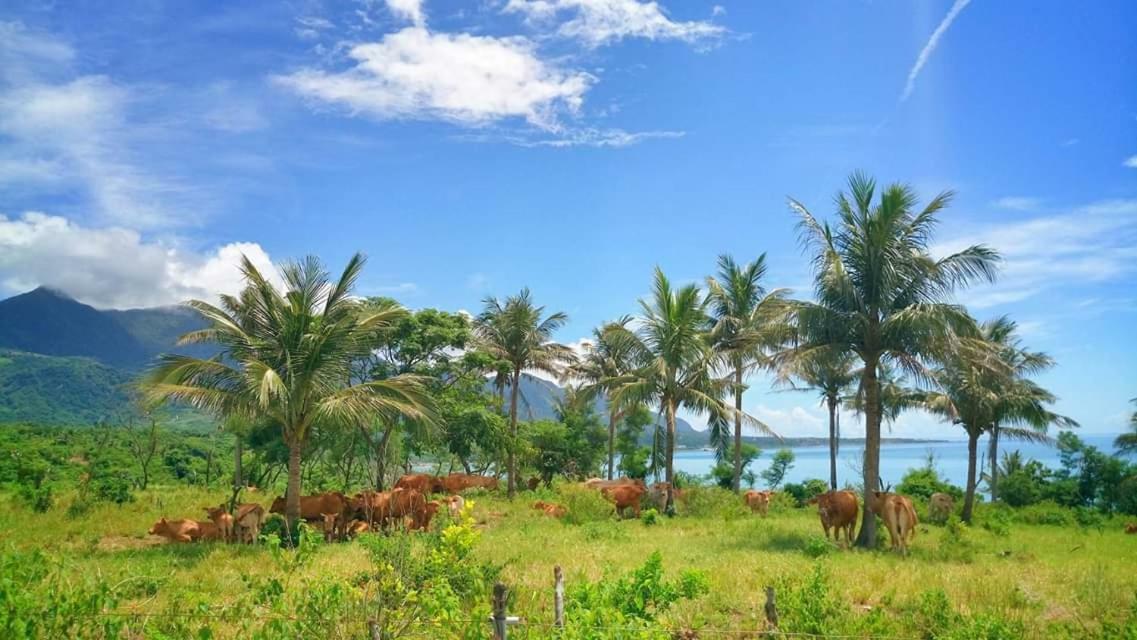 Cong Sen Backpackers Hostel Taitung Bagian luar foto